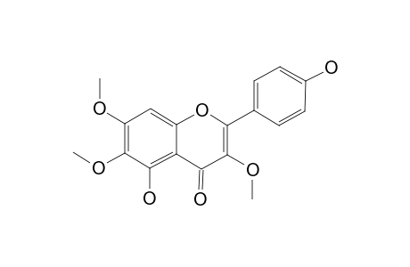 PENDULETIN;4',5-DIHYDROXY-3,6,7-TRIMETHOXYFLAVONE
