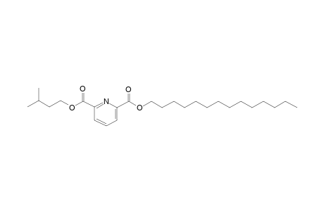 2,6-Pyridinedicarboxylic acid, 3-methylbutyl tetradecyl ester