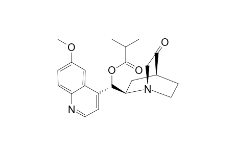 (8R,9S)-9-Isobutyryloxyruban-3-one