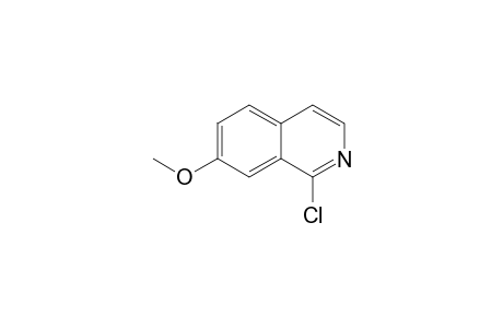 Isoquinoline, 1-chloro-7-methoxy-