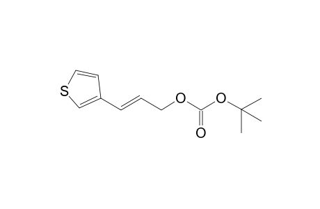 t-Butyl (E)-[3-(thiophen-3'-yl)prop-2-en-1-yl]-carbonate]