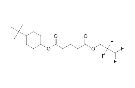 Glutaric acid, 2,2,3,3-tetrafluoropropyl cis-4-tert-butylcyclohexyl ester