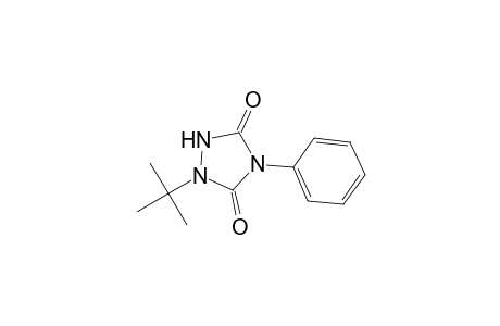 1-tert-Butyl-4-phenyl-1,2,4-triazolidine-3,5-dione