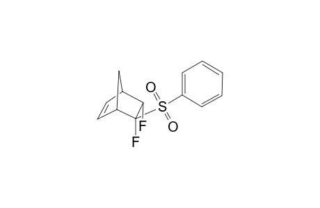 5,6-Difluoro-exo-5-(phenylsulfonyl)bicyclo[2.2.1]hept-2-ene