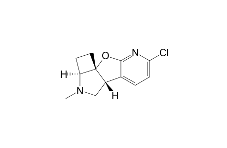 N-Methylphantasmidine