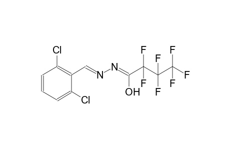 (1Z)-N-[(E)-(2,6-dichlorophenyl)methylidene]-2,2,3,3,4,4,4-heptafluorobutanehydrazonic acid