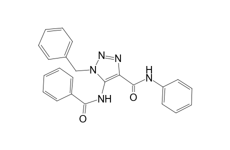 1H-[1,2,3]Triazole-4-carboxylic acid, 5-benzoylamino-1-benzyl-, phenylamide