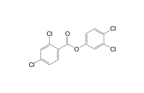 2,4-dichlorobenzoic acid, 3,4-dichlorophenyl ester