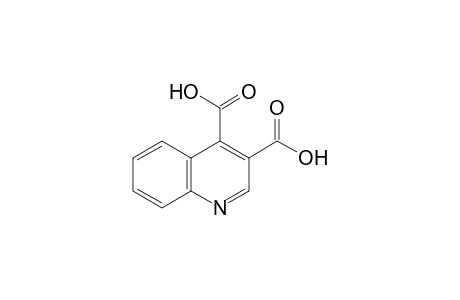 3,4-Quinolinedicarboxylic acid