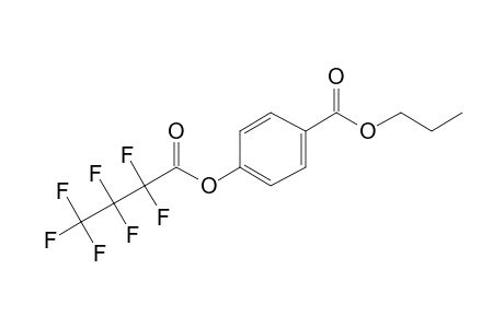 Propylparaben, heptafluorobutyrate