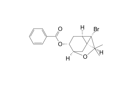 (1a,2a,5a,7a,9a)-2-bromo-3,3-dimethyl-4-oxatricyclo[3.2.2.02,7]non-9-yl benzoate