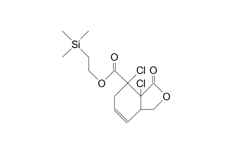 (1RS, 2Sr,6RS)-1,2-dichloro-9-oxo-8-oxa-bicyclo(4.3.0)non-4-ene-2-carboxylic acid, 2-(trimethylsilyl)-ethyl ester