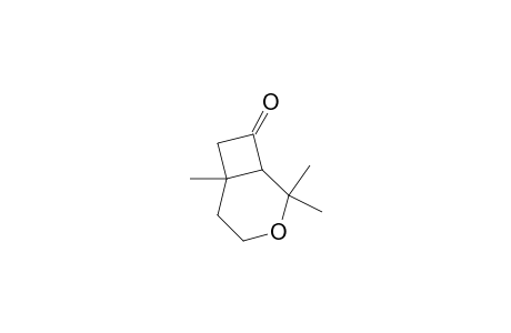 3-Oxabicyclo[4.2.0]octan-8-one, 2,2,6-trimethyl-
