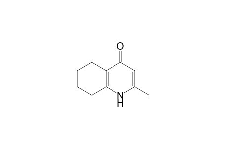 2-methyl-5,6,7,8-tetrahydro-4(1H)-quinolone