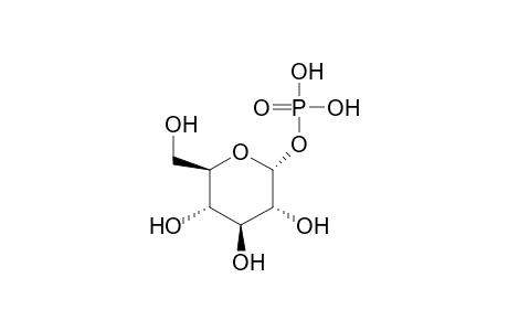 alpha-D-Glucose-1-phosphate
