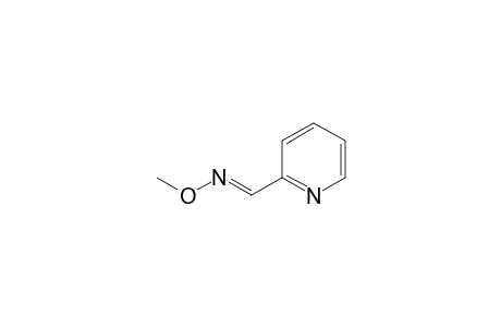 (E)-methoxy(2-pyridylmethylene)amine