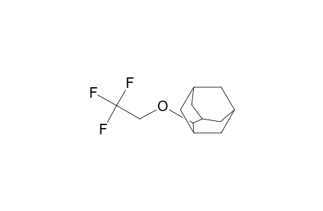 2-Adamantyl trifluoroethyl ether