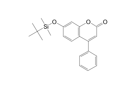 7-Hydroxy-4-phenylcoumarin, tert-butyldimethylsilyl ether