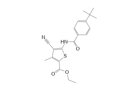 ethyl 5-[(4-tert-butylbenzoyl)amino]-4-cyano-3-methyl-2-thiophenecarboxylate