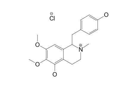 (+/-)-THALMELINE-HYDROCHLORIDE;1-(4'-HYDROXYBENZYL)-2-METHYL-5-HYDROXY-6,7-DIMETHOXY-1,2,3,4-TETRAISOQUINOLINE-HYDROCHLORIDE