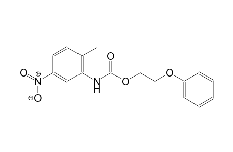 2-Phenoxyethyl N-(2-methyl-5-nitro-phenyl)carbamate