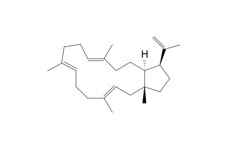 (+)-Brassitetraene A