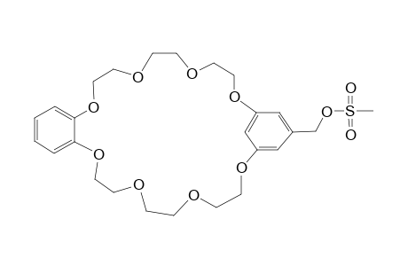 BENZO-(5-METHANESULFONYLOXYMETHYL-META-PHENYLENE)-[25]-CROWN-8