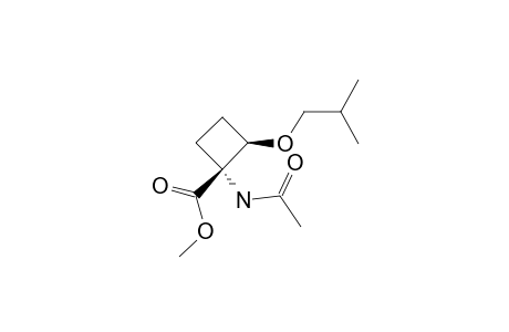 METHYL-(1R*,2R*)-1-ACETAMIDO-2-ISOBUTOXYCYCLOBUTANE-1-CARBOXYLATE