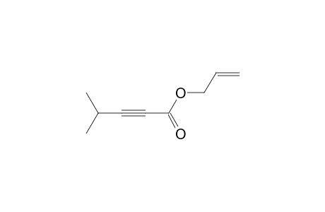 Allyl 4-methylpent-2-ynoate