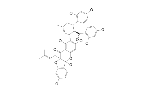 SANGGENON-D