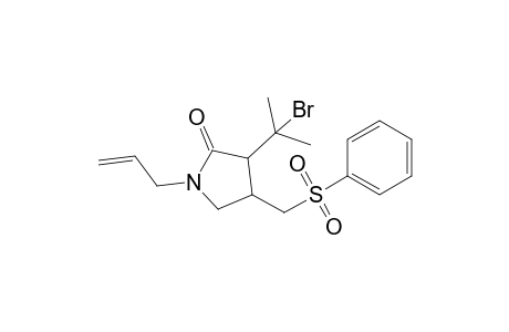 N-Allyl-3-(1-bromo-1-methylethyl)-4-[(phenylsulfonyl)methyl]-2-pyrrolidone