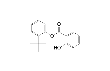 (2-tert-butylphenyl) 2-hydroxybenzoate