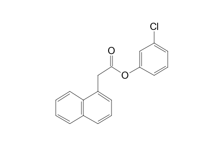 1-Naphthaleneacetic acid, 3-chlorophenyl ester