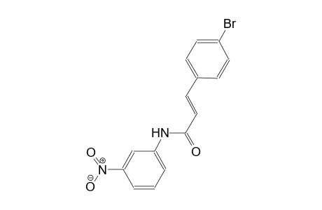 (2E)-3-(4-bromophenyl)-N-(3-nitrophenyl)-2-propenamide