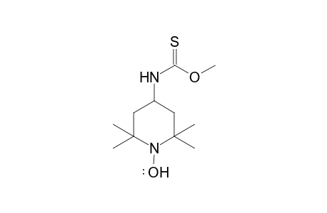 O-methyl (2,2,6,6-tetramethyl-1-(lambda1-oxidaneyl)piperidin-4-yl)carbamothioate