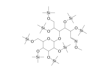 Lactose methoxime, octa-TMS, isomer 1