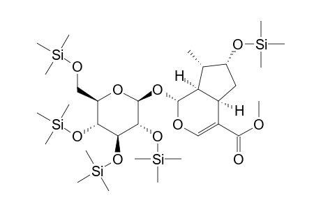 Cyclopenta[c]pyran-4-carboxylic acid, 1,4a,5,6,7,7a-hexahydro-7-methyl-1-[[2,3,4,6-tetrakis-O-(trimethylsil yl)-.beta.-D-glucopyranosyl]oxy]-6-[(trimethylsilyl)oxy]-, methyl ester, [1S-(1.alpha.,4a.alpha.,6.alpha.,7.alpha.,7a.alpha.)]-
