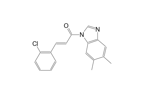 1-[(2E)-3-(2-chlorophenyl)-2-propenoyl]-5,6-dimethyl-1H-benzimidazole