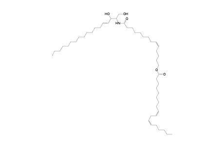 Cer 18:1;2O/14:1;O(FA 18:2)