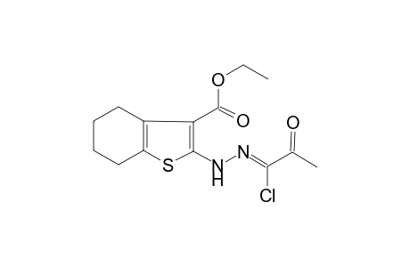 Benzothiophene-3-carboxylic acid, 4,5,6,7-tetrahydro-2-(1-chloro-2-oxopropylidenhydrazino)-, ethyl ester