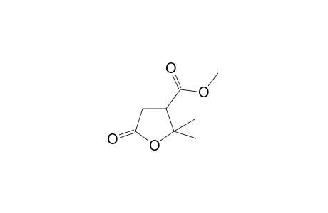 2,2-dimethyl-5-oxotetrahydro-3-furoic acid, methyl ester