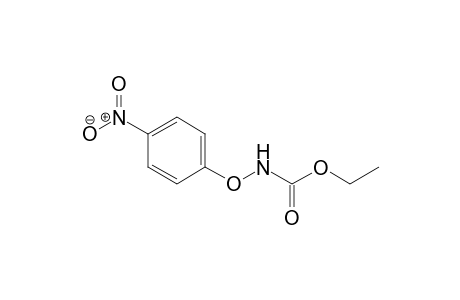 Carbamic acid, (p-nitrophenoxy)-, ethyl ester