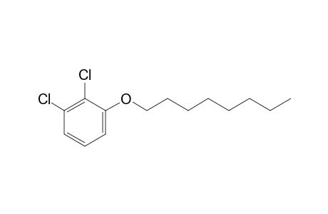 2,3-Dichlorophenyl octyl ether