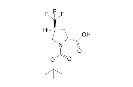 (2R,4S)-N-(1,1-Dimethyl)ethoxycarbonyl]-4-trifluoromethyl-D-proline
