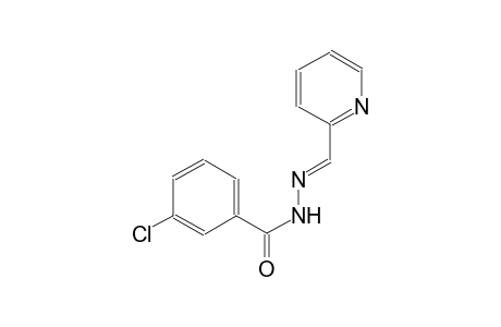 3-chloro-N'-[(E)-2-pyridinylmethylidene]benzohydrazide