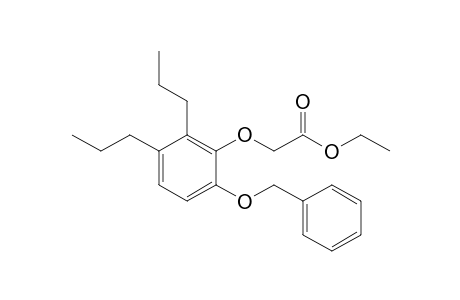 3,4-Di-n-propylcatechol 1-benzyl 2-carboethoxymethyl ether