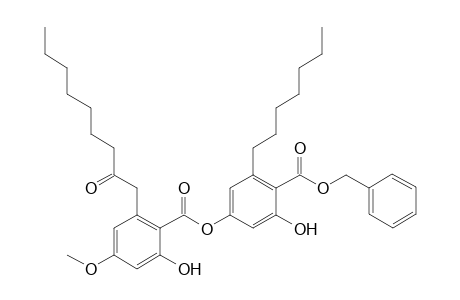 benzyl 6-heptyl-2-hydroxy-4-[2'-hydroxy-4'-methoxy-6'-(2''-oxononyl)benzoyloxy]benzoate
