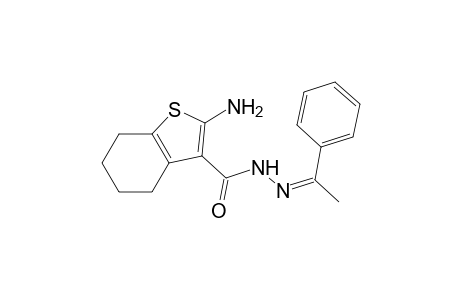 2-Amino-N'-(1-phenylethylidene)-4,5,6,7-tetrahydrobenzo[b]thiophene-3-carbohydrazide