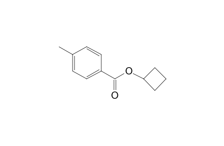 Cyclobutyl 4-methylbenzoate