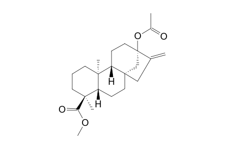 Methyl ent-13-acetoxykaur-16-en-19-oate